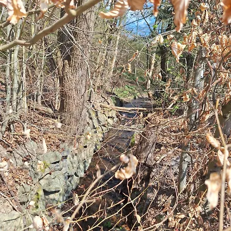 Apartman Maison Confortable Mit Sonnenterrasse Und Garten, Bad Ems, Koblenz, Montabaur, Wandern, Radfahren, Mountanbiketouren