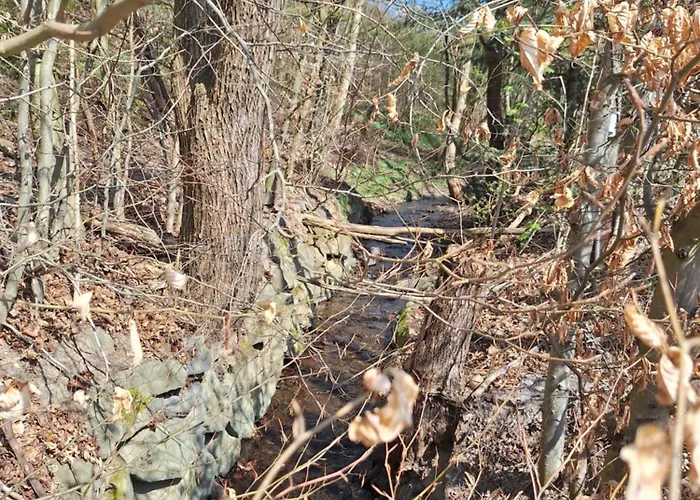 Apartment Maison Confortable Mit Sonnenterrasse Und Garten, Bad Ems, Koblenz, Montabaur, Wandern, Radfahren, Mountanbiketouren